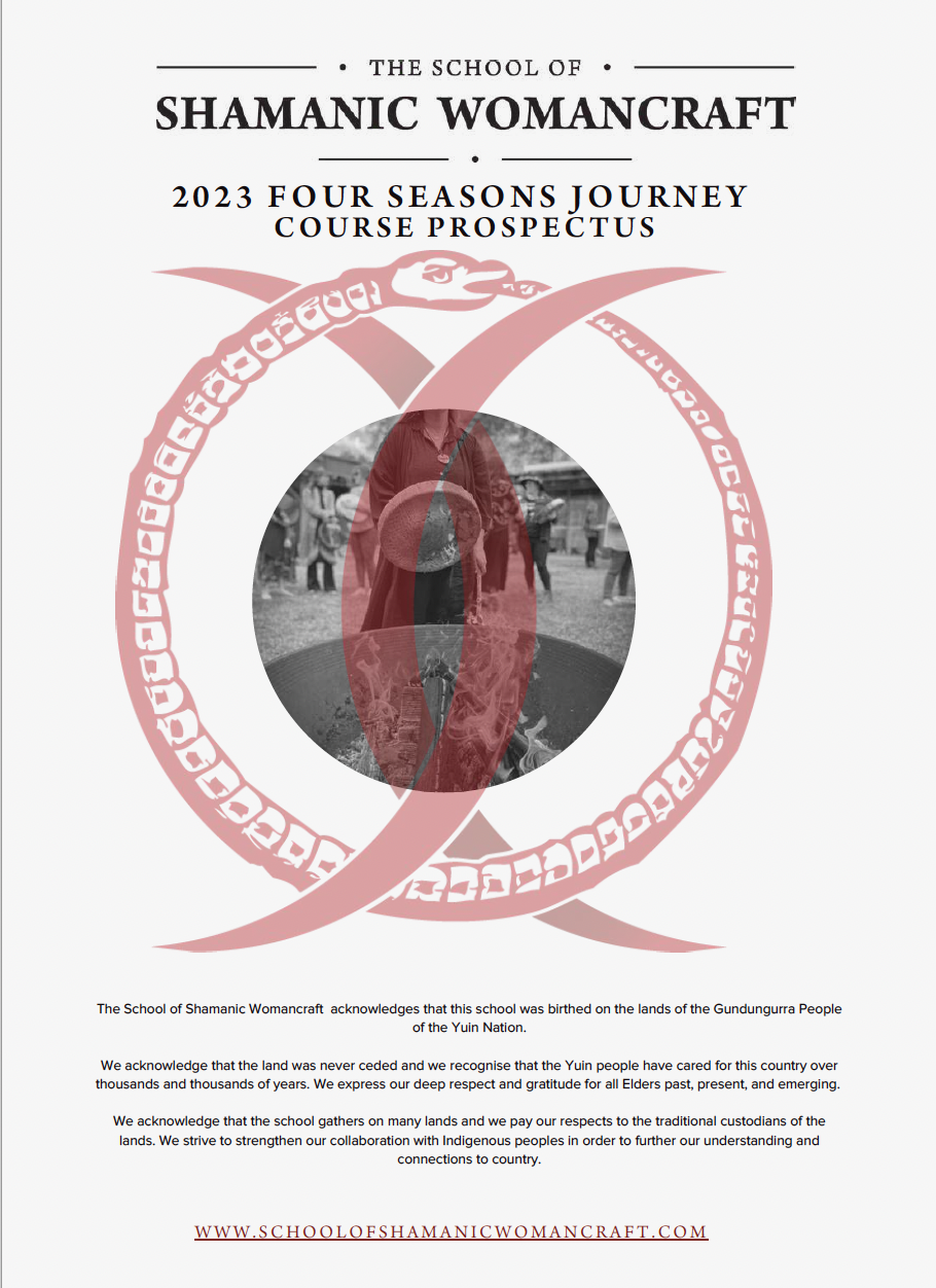 Screen Shot prospectus